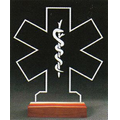 EMS Award on a Rosewood Base - Acrylic (9"x8 1/8")